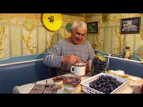 Видео: Как замочить Сливы. Моченые сливы Венгерка