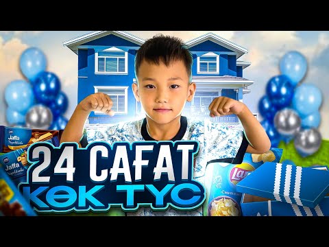 Видео: 24 сағат КӨК түс АЛИНҰР😱🐬💙🦋🐋🧞‍♂️🔵