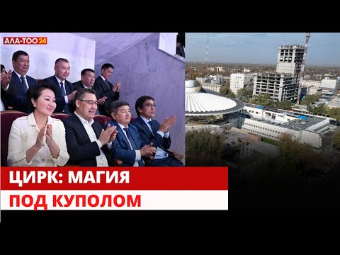 Видео: Цирк: магия под куполом