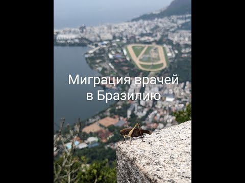 Видео: Миграция врачей в Бразилию