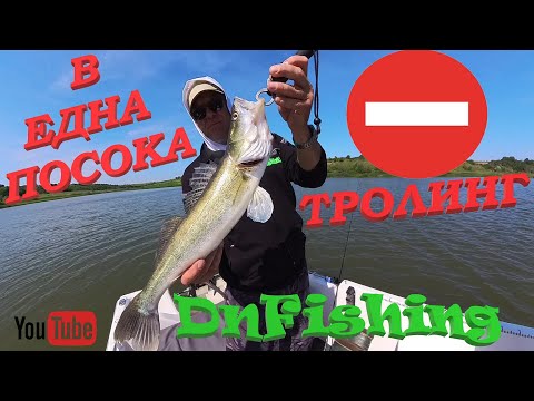 Видео: Еднопосочен тролинг за БЕЛИ РИБИ !
