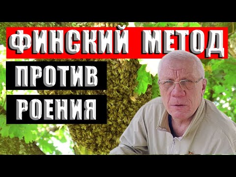 Видео: Борьба с роением пчел. Самый простой Финский метод.