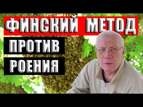 Видео: Борьба с роением пчел Самый простой Финский метод