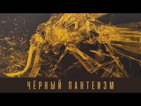 Видео: Д. Хаустов / Чёрный пантеизм: Батай, Беньямин и ужас природы