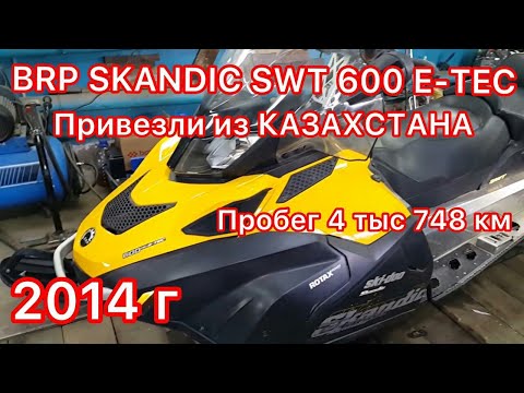Видео: BRP SKANDIC SWT 600 E-TEC, привезли из КАЗАХСТАНА 14 г.в. пробег 4 тыс. 748км.Смотрим, что с ним!!!