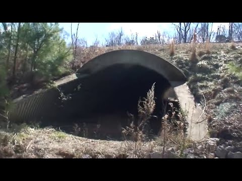 Видео: Запись #82