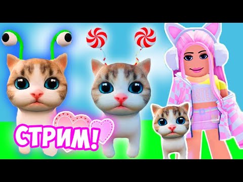 Видео: КОТИКИ В РОБЛОКС ! ИГРАЮ С ПОДПИСЧИКАМИ ! СТРИМ С ЭЛИС