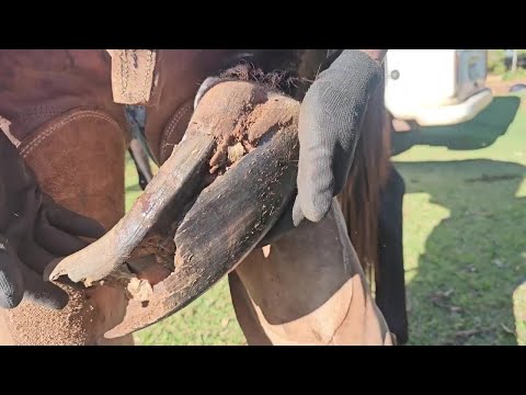 Видео: ОНА становится страшной каждый раз, когда ЭТО поднимает...