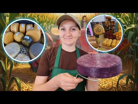 Видео: Как делаем сыр Зигеркейзе по-нашему. Где живут сыры? Заглянем в камеру. Мастер классы по сыроделию
