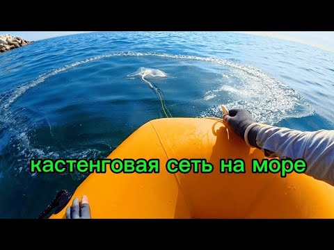 Видео: Экстремальная рыбалка, разные рыбы на разные снасти! #fishing #낚시 #fish #carpfishing 