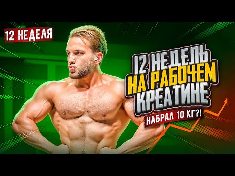 Видео: 12 Недель На Рабочем Креатине (набрал 10 кг?!)