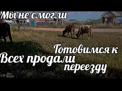 Видео: Продали всех. Готовимся переезжать, хозяйства больше нет. Последнее видео.