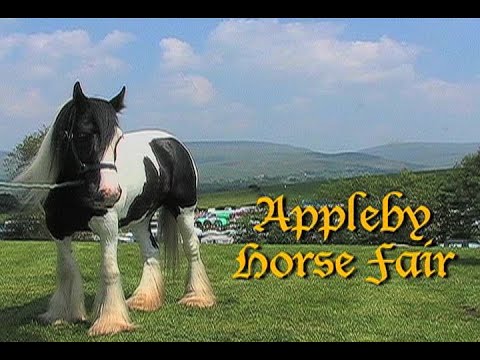 Видео: Ярмарка лошадей в Эпплби