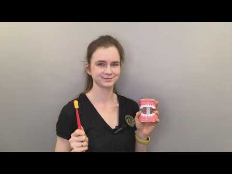 Видео: Это база – метод Басса | Как чистить зубы?