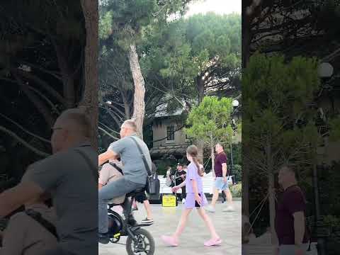 Видео: Ялта, парус - и мы с тобою влюблены❤️#крым #shortsviral #travel #ялта #beach