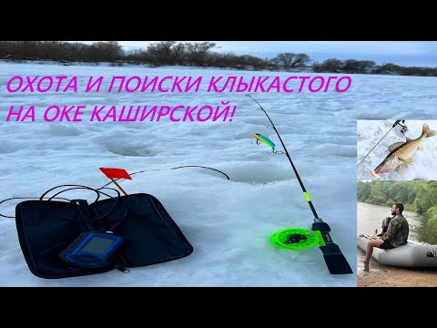 Видео: ОХОТА И ПОИСКИ КЛЫКАСТОГО  НА ОКЕ КАШИРСКОЙ!