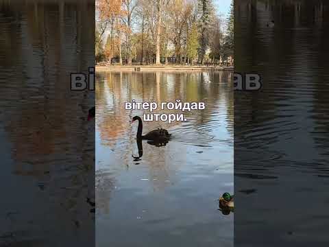 Видео: Чоловік спочатку сказав, що розлюбив, а потім благав щоб повернутися