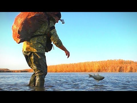 Видео: ОХОТА НА УТКУ, ПОЙМАЛ КАРАСЕЙ РУКАМИ. НОЯБРЬ 2019. ПРИШЛА ПЕРВАЯ ПЕРЕЛЕТНАЯ УТКА.