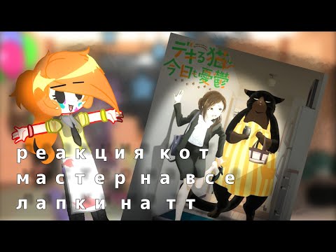 Видео: |Реакция кот мастер на все лапки на тт|🫐Gilby01🧁