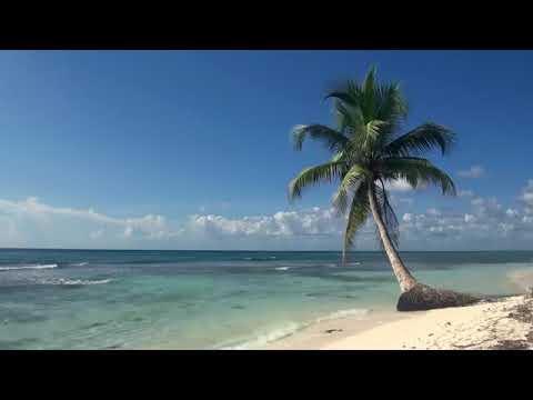 Видео: ЗВУКИ МОРЯ; 3 часа без рекламы