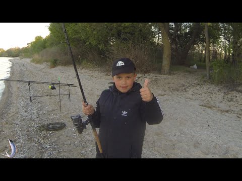 Видео: Отличный день для рыбалки