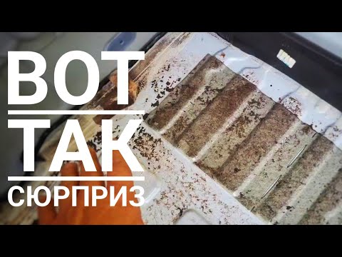 Видео: Что стало с днищем Ларгуса через 6 лет. Сам в шоке