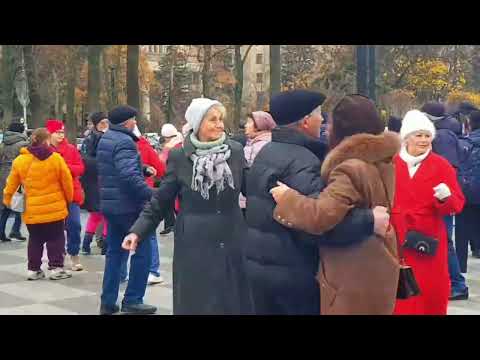 Видео: 9 ноября 2025  ОЧЕНЬ КРАСИВЫЙ МЕДЛЯК #kharkiv 