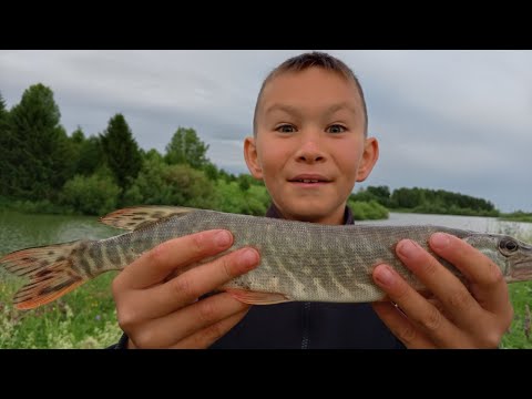 Видео: Летняя рыбалка на щуку | Рыбалка на спиннинг в деревне | Деревенские парни на рыбалке