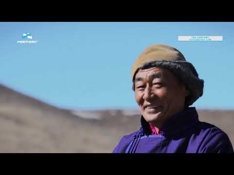 Видео: ᠌᠌[ Малчин айлд ] нэвтрүүлэг #27 Төв аймгийн Алтанбулаг сумын малчин Б.Жаргалсайхан