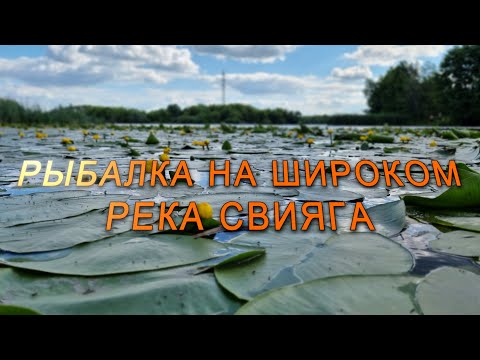Видео: Рыбалка на Широком, река Свияга. Ульяновск. Рыбалка на спиннинг