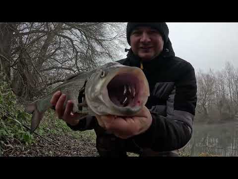Видео: Невероятные поклёвки на поверхностные приманки зимой
