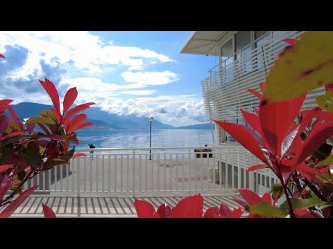 Видео: Биела в ожидании гостей. Черногория. Апрель 2023.