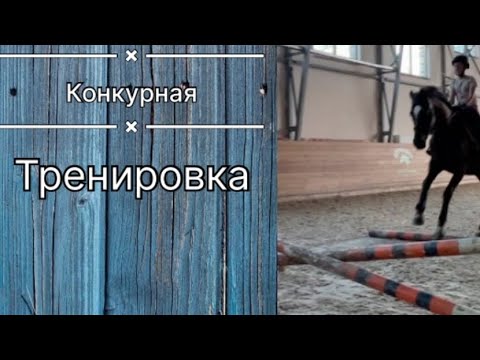 Видео: Тренировка на Бетхи / в манеже🌸