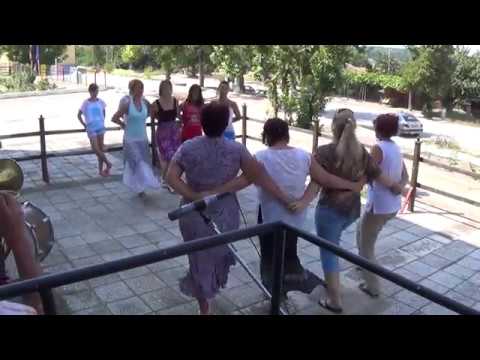 Видео: лесата