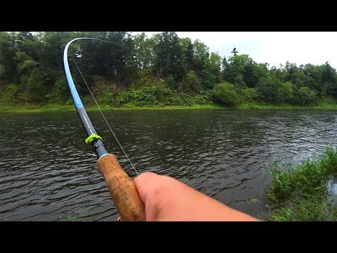 Видео: Рыбалка горбуши на креветку \ Горбуша на поплавок