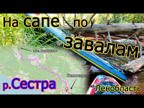 Видео: Сплав на сапборде(SUP) 26км. по заваленной р. Сестре (Пос. Ленинское- Белоостров)