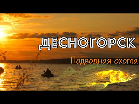 Видео: Десногорское водохранилище. Подводная охота 2025 г. 