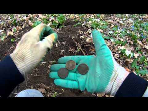 Видео: МЕТАЛЛОИСКАТЕЛЬ Minelab CTX 3030 В ЛЕСУ