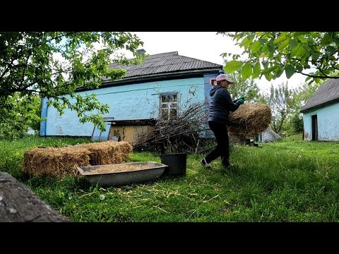 Видео: Весняний день рік годує‼️ Сіємо овочі і підживляємо малину яку посадили для заробітку грошей в селі.