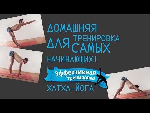 Видео: Домашняя тренировка для самых начинающих!