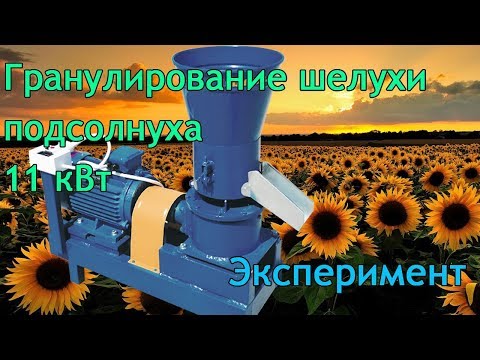 Видео: Гранулирование шелухи подсолнуха на грануляторе 11 кВт: продолжаем эксперименты