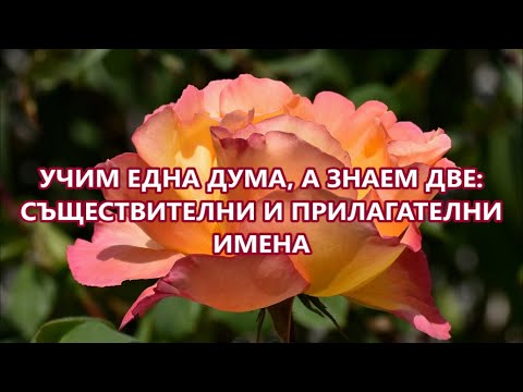 Видео: Уча английски: II част на Учим 1 дума, а знаем 2 + FREE PDF