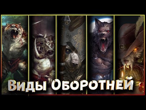 Видео: Оборотень - это не только Волк! Какие еще бывают оборотни и чем они отличаются?
