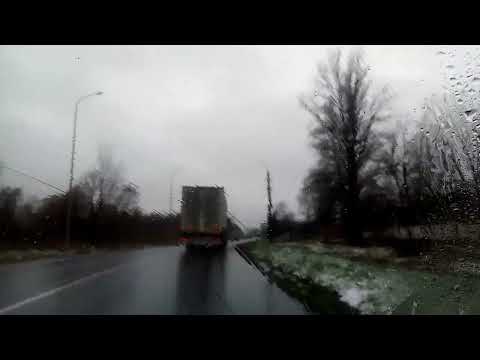 Видео: Білий сніг на зеленому листі...