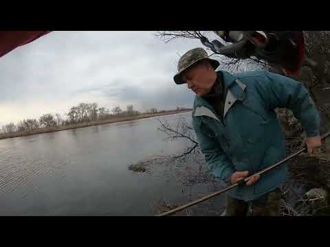 Видео: Судак по холодной воде. ДРОПШОТ