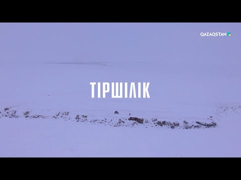Видео: Тіршілік І Тасарал. Қысқы Балқаш