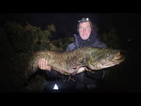 Видео: Осенняя рыбалка на сома в Беларуси. Река Свислочь. 