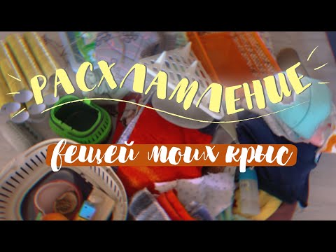 Видео: ВСЕ ВЕЩИ МОИХ КРЫС🙊