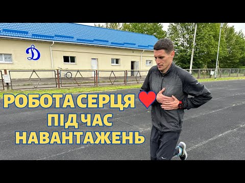 Видео: Як фізичні навантаження впливають на серце | Як не нашкодити та розвивати серце займаючись спортом ?