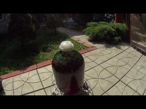 Видео: ВИНО ЯГОДНОЕ в домашних условиях.